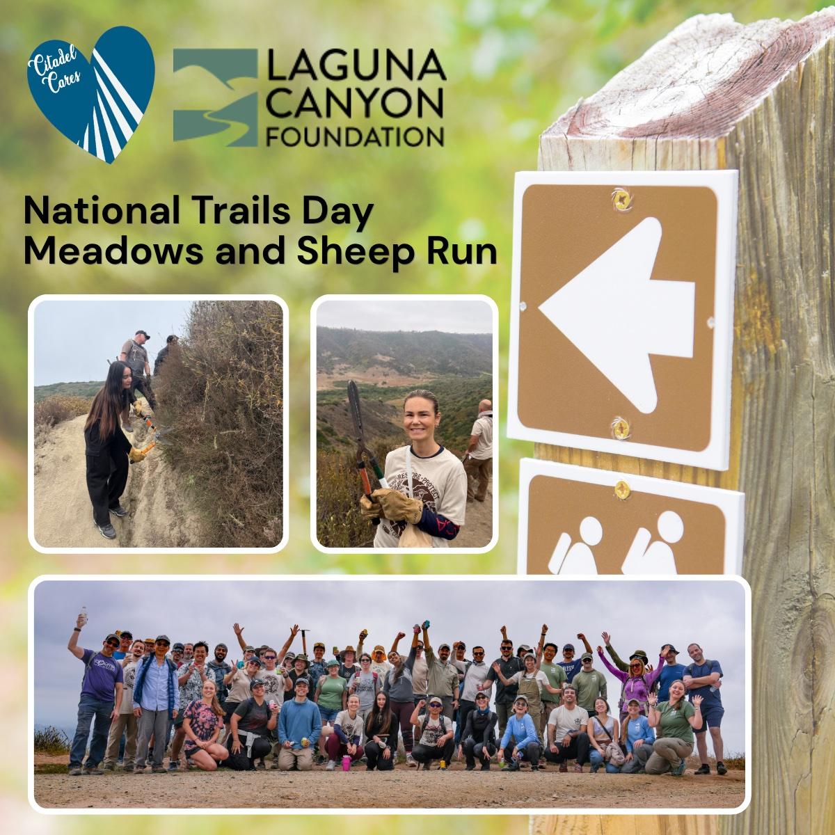 National Trails Day – Meadows and Sheep Run