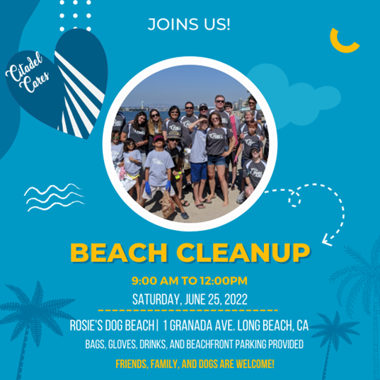 Volunteer for restoration and clean up at 12th Street Beach - Chicago on  the Cheap